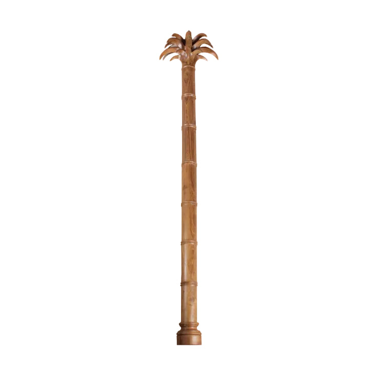 Frazer Palm Tree