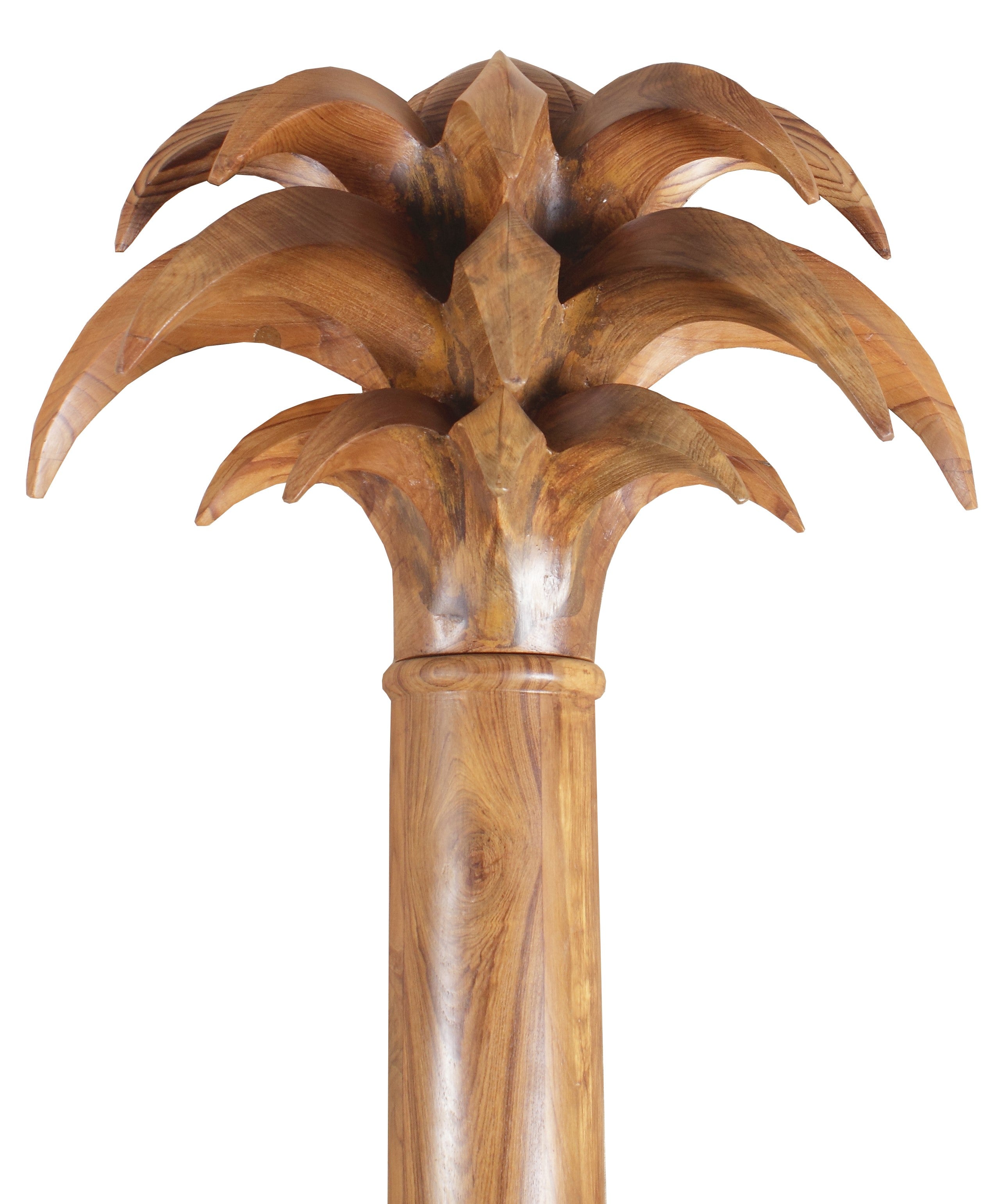Frazer Palm Tree