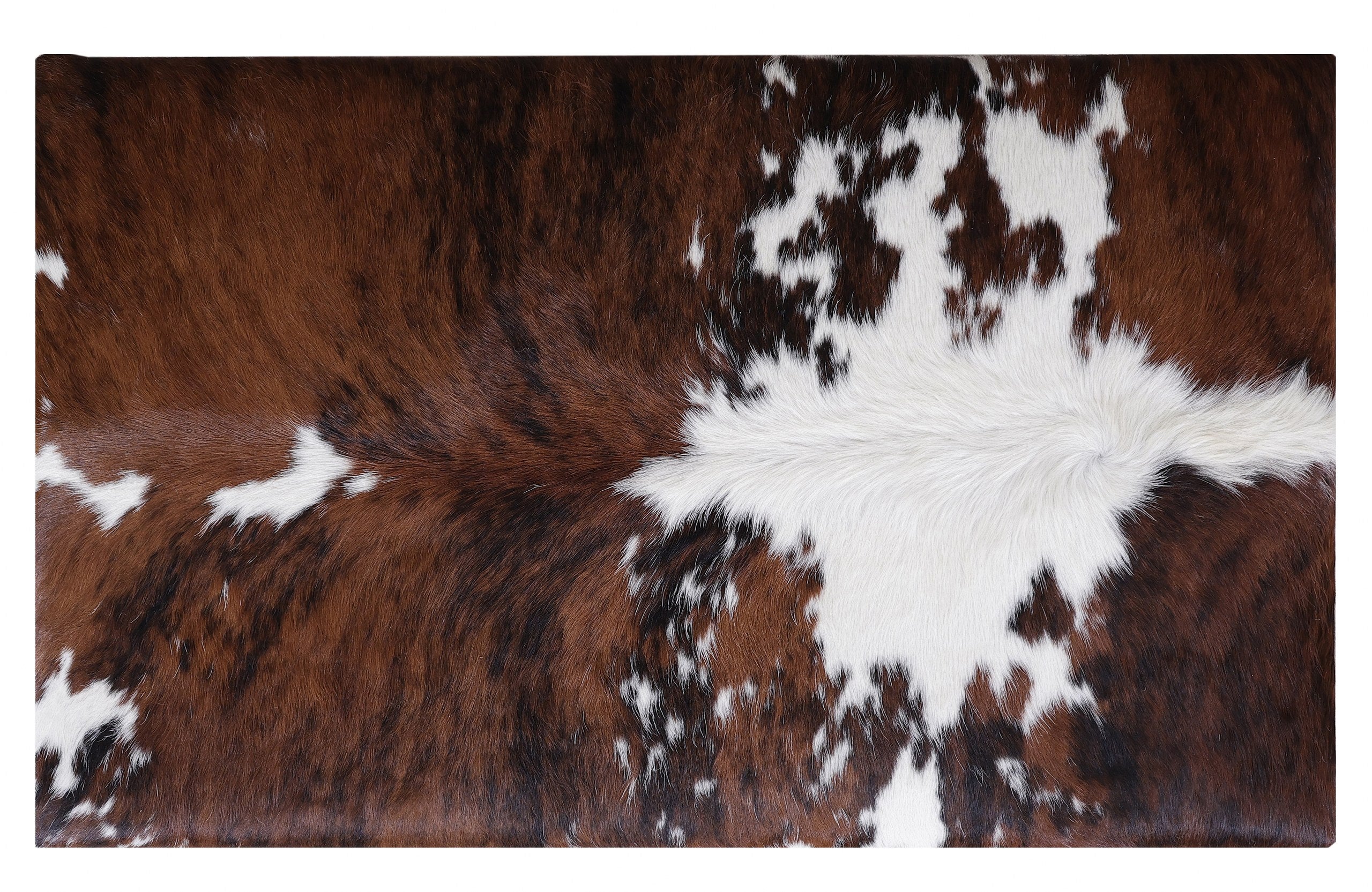 Pelham Coffee Table