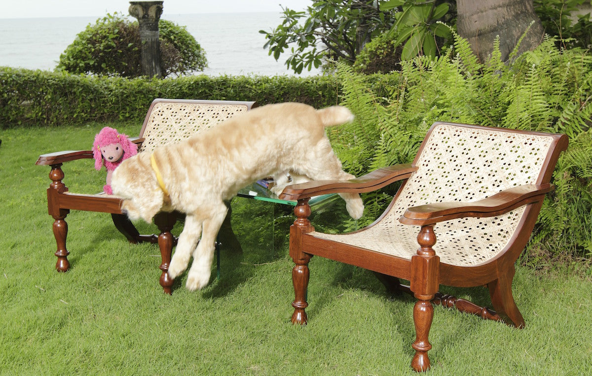 Hanna Child-Sized Planters Chair