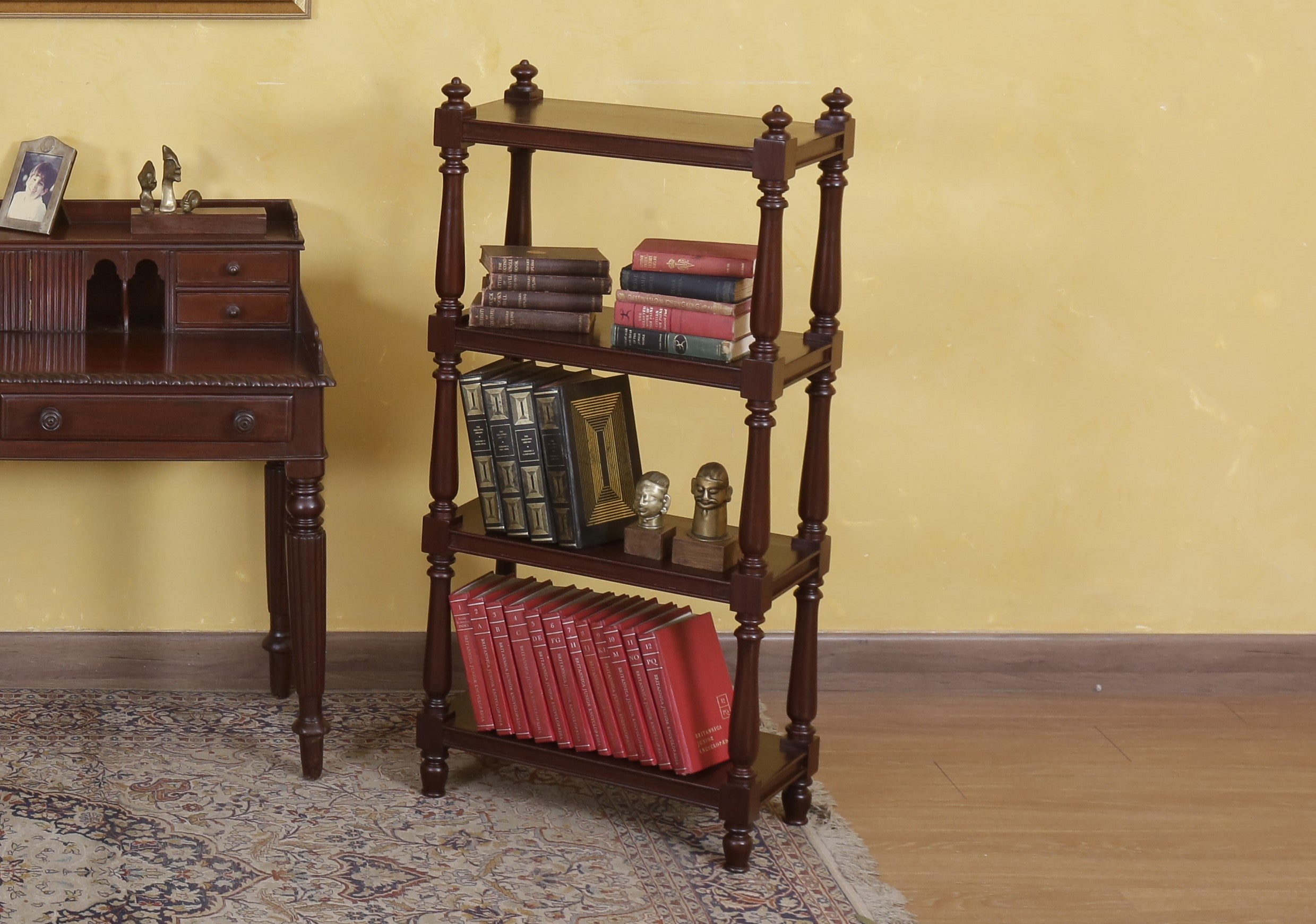 Paddington Bookshelf