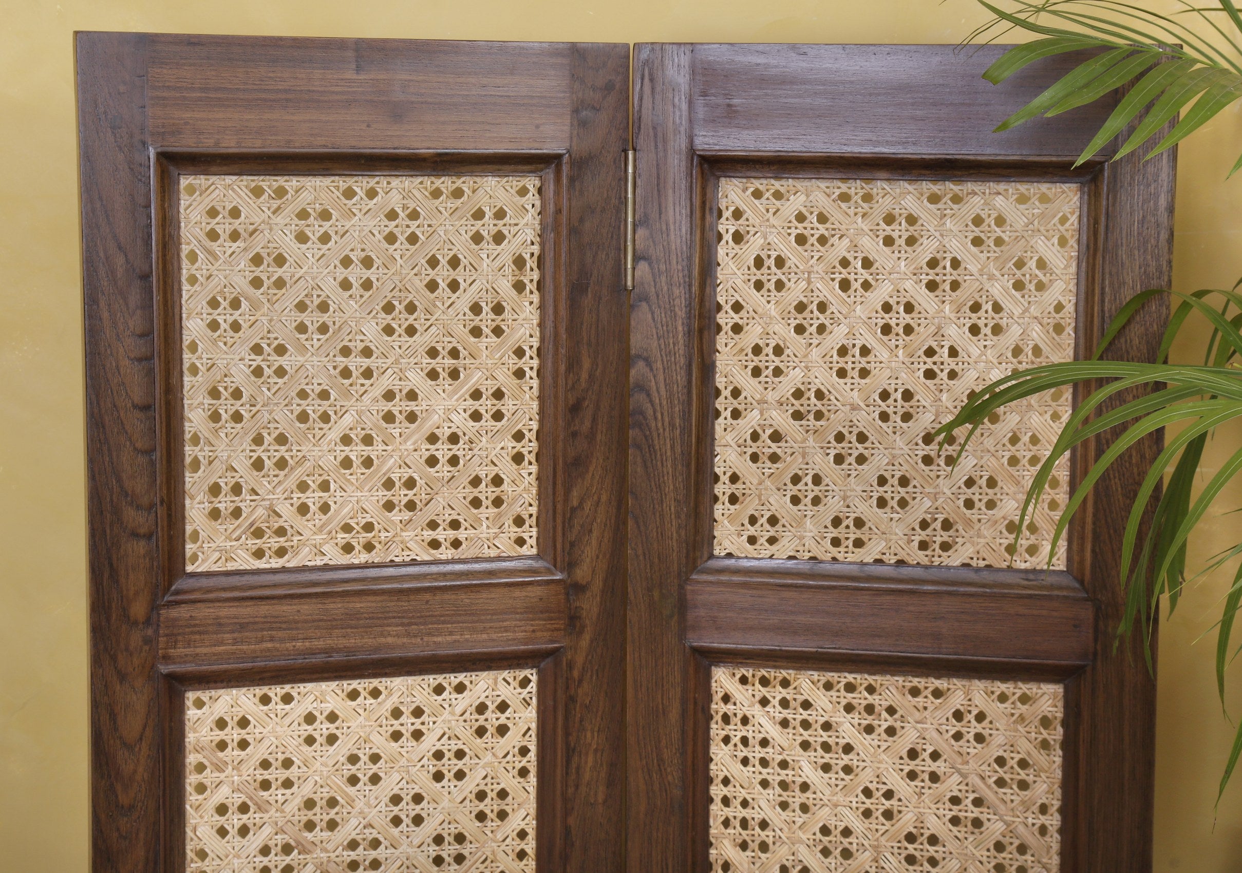 Mitchell Screen