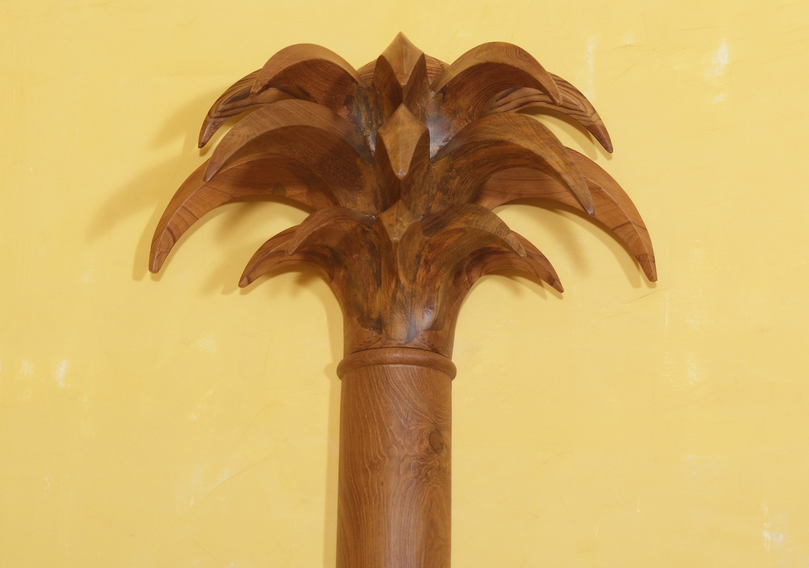 Frazer Palm Tree