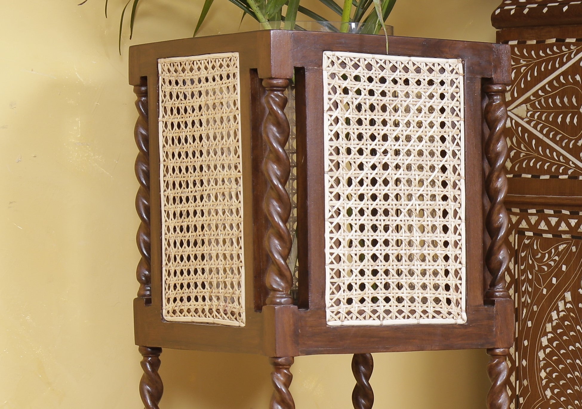 Cunninghame Caned Planter