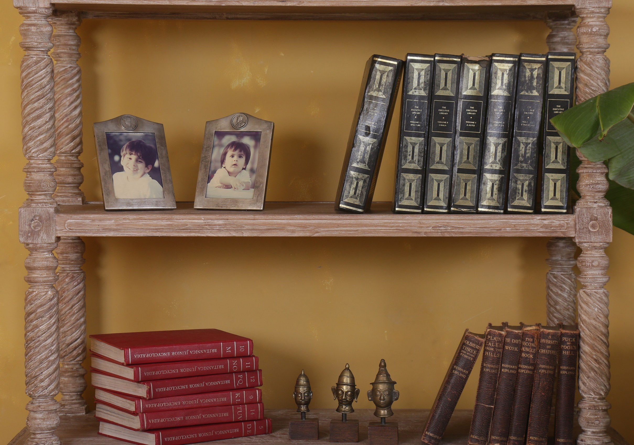 Ardleigh Antique Bookshelf