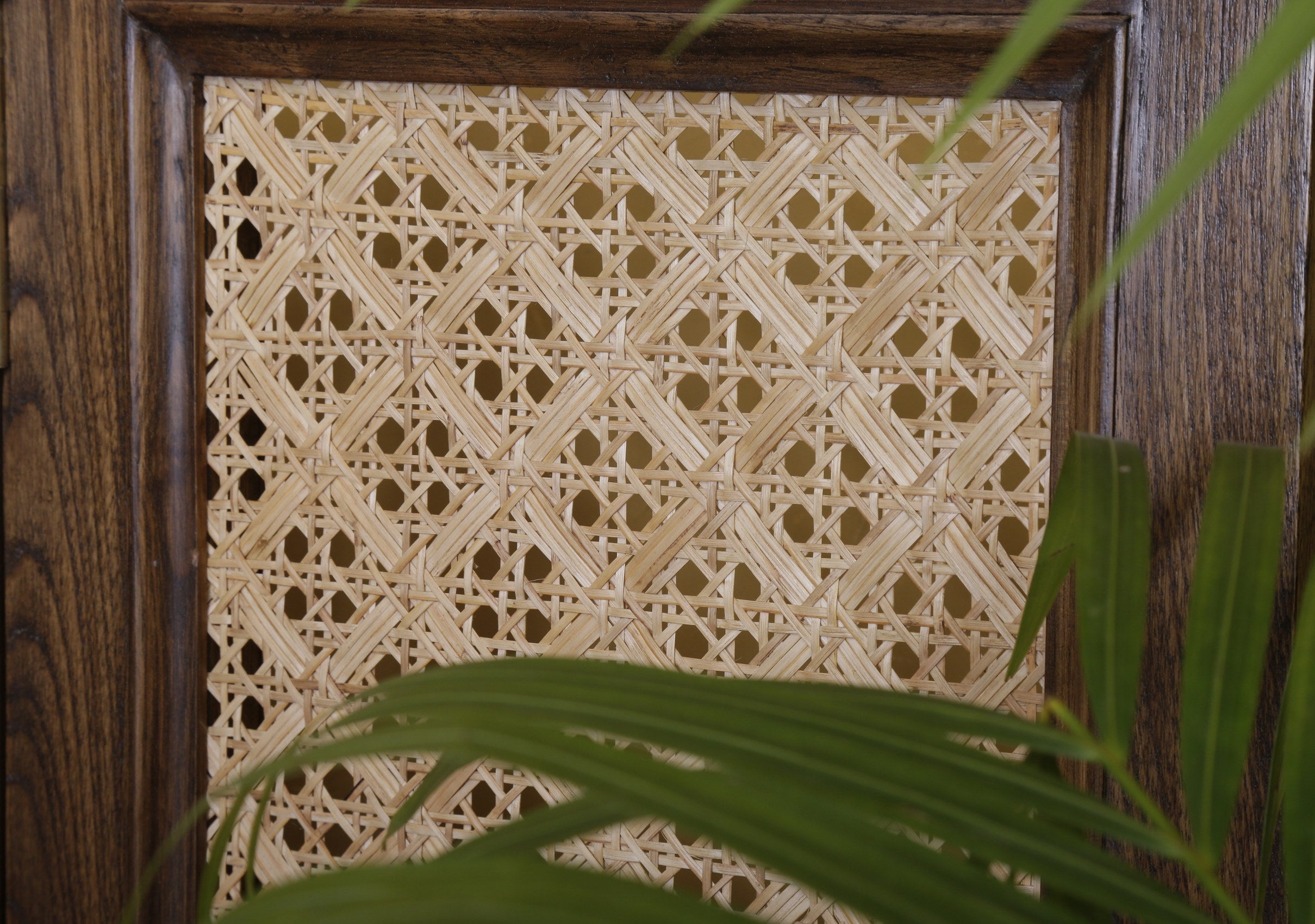Mitchell Screen