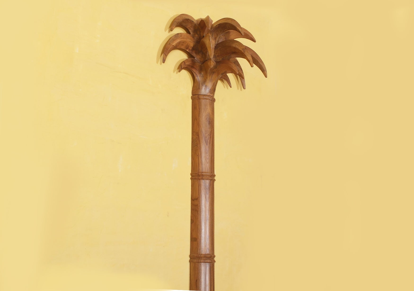 Frazer Palm Tree