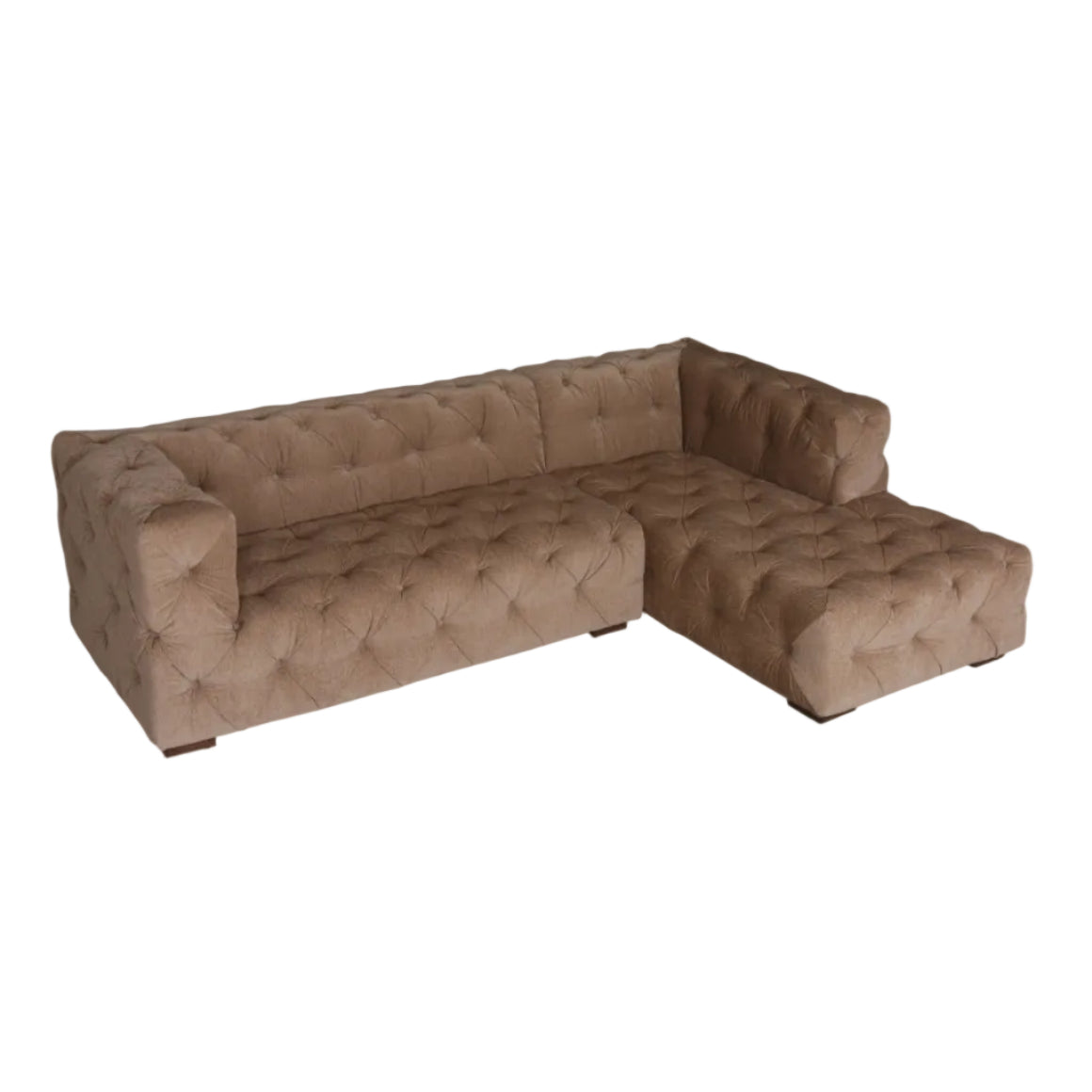 Dion Sectional Sofa