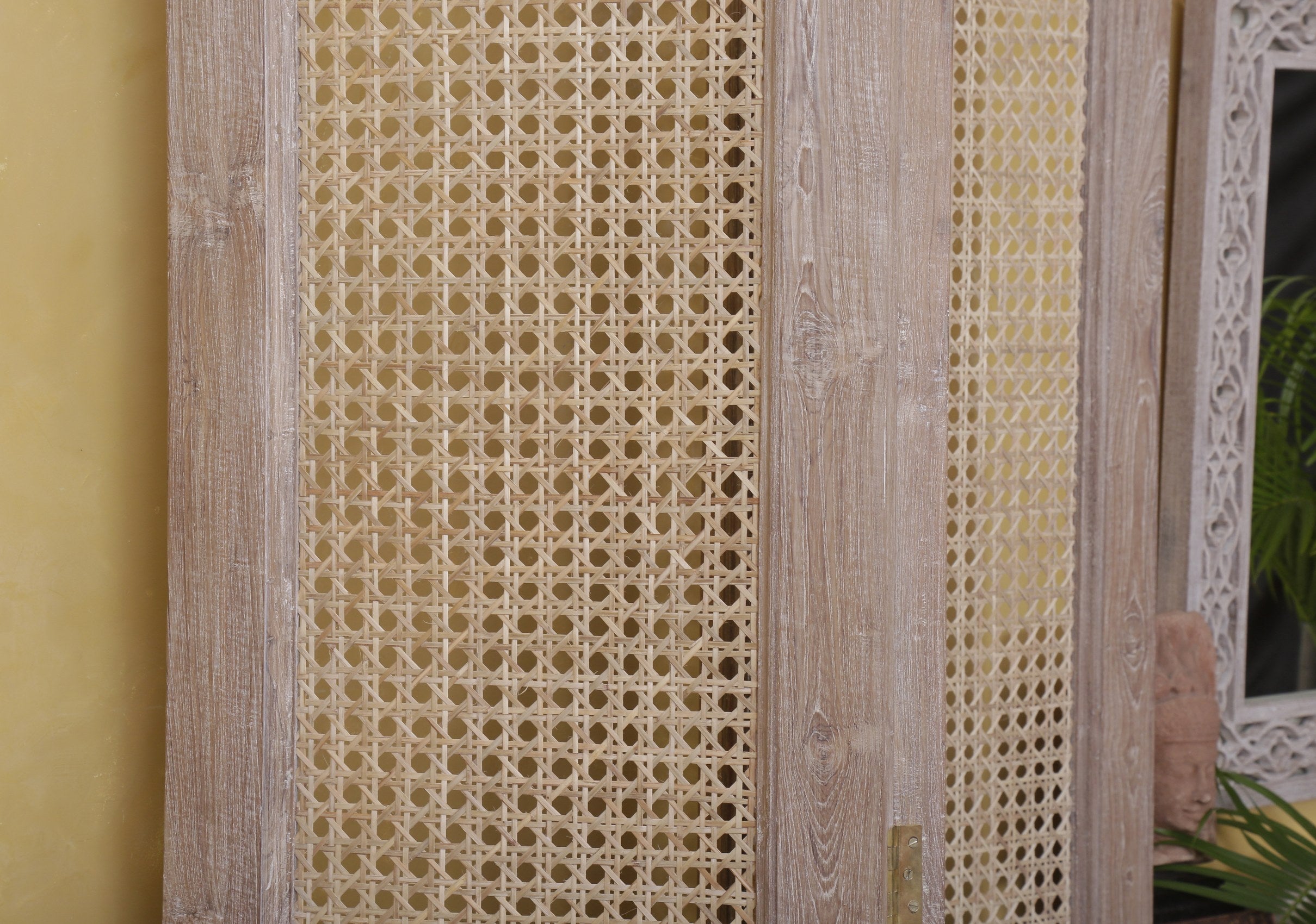 Clarkson Divider Door