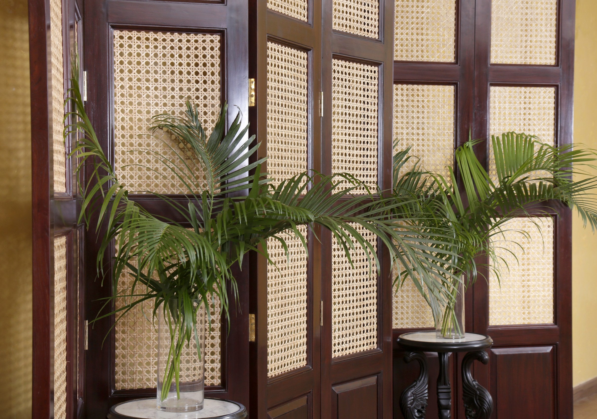 Kingsford Screen