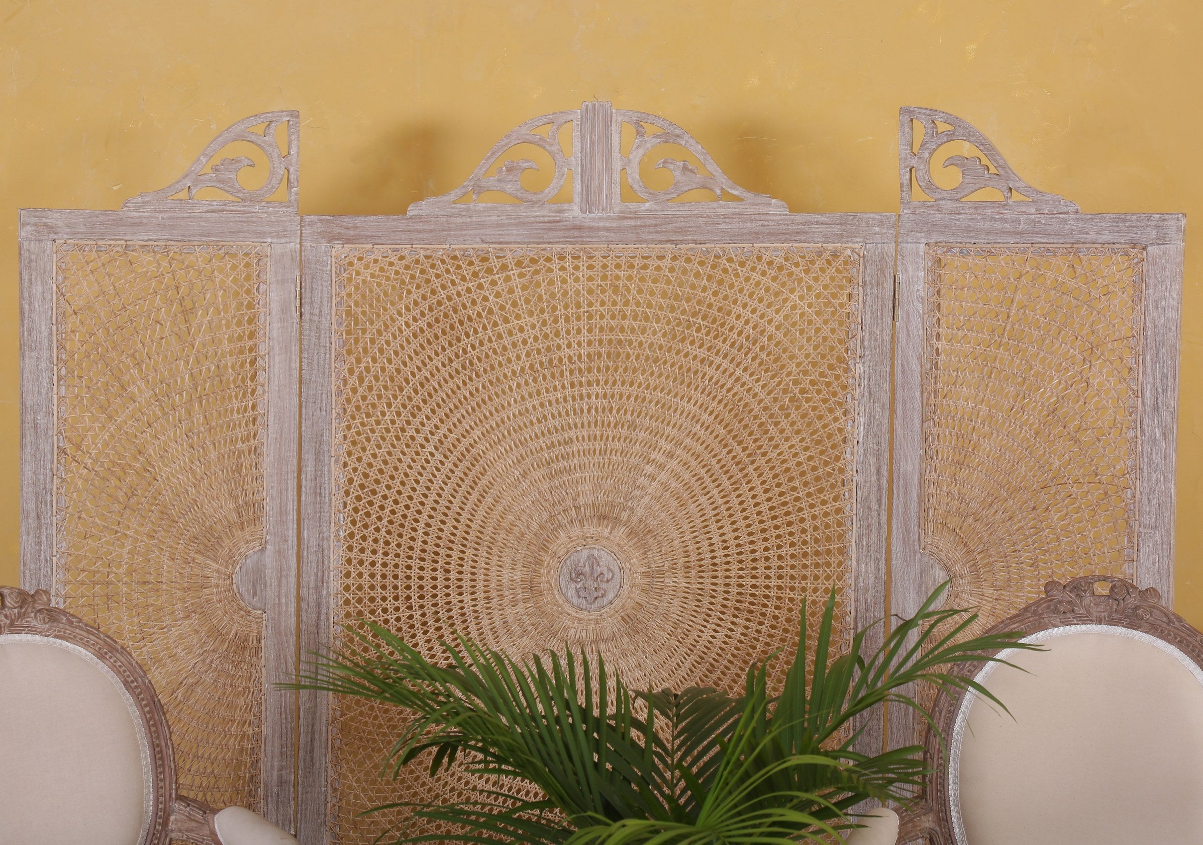 Pierre Spiderweb Screen