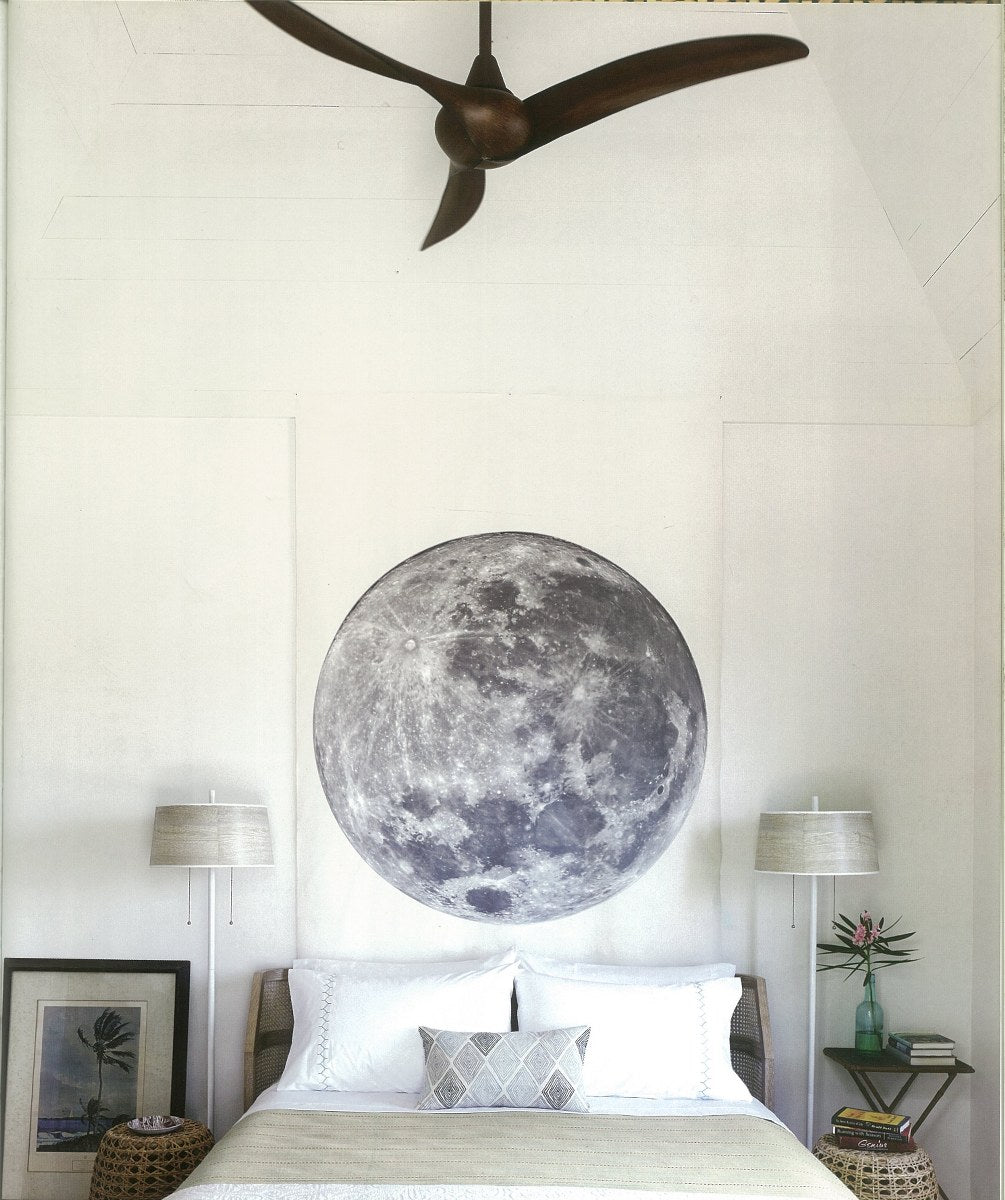 Tom Scheerer - More Decorating