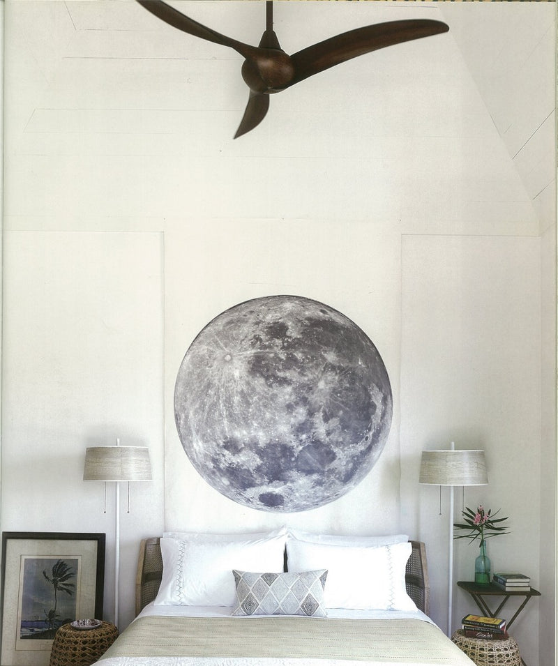 Tom Scheerer - More Decorating