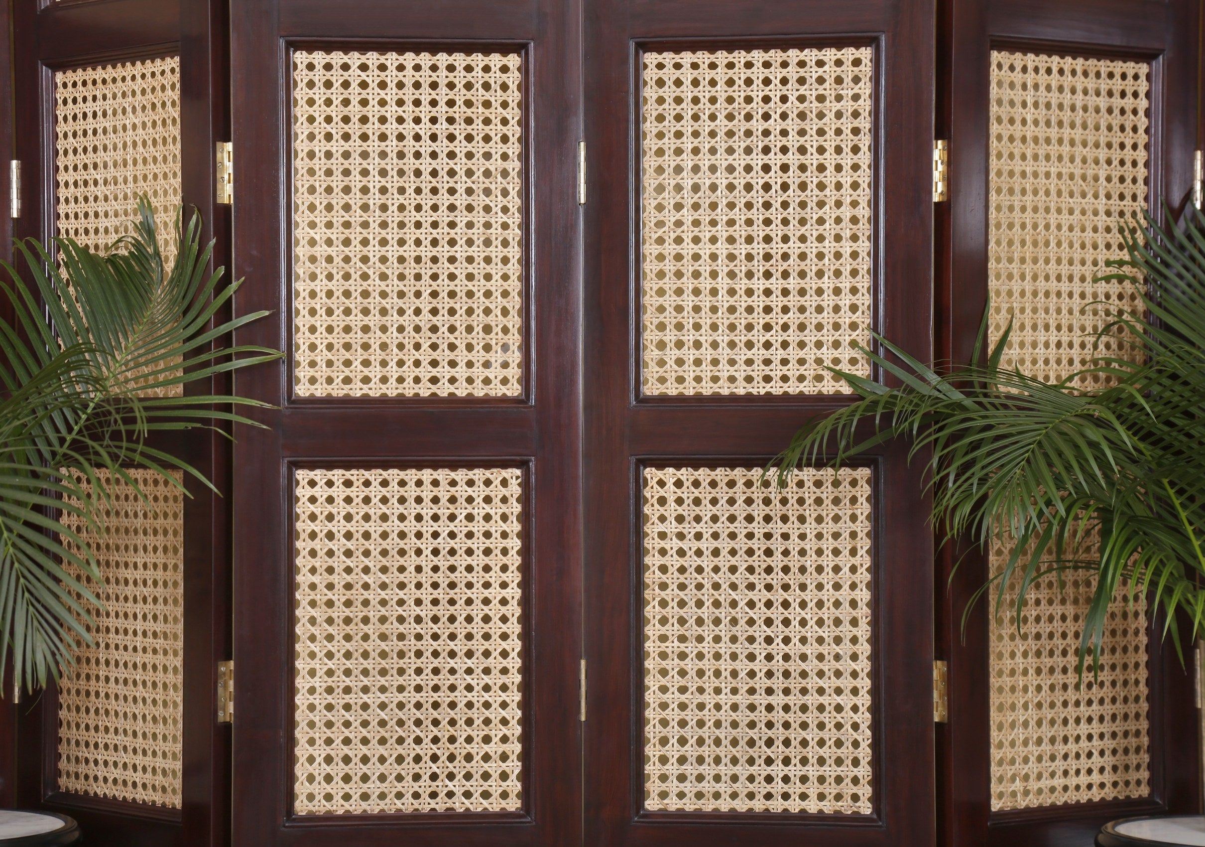Kingsford Screen