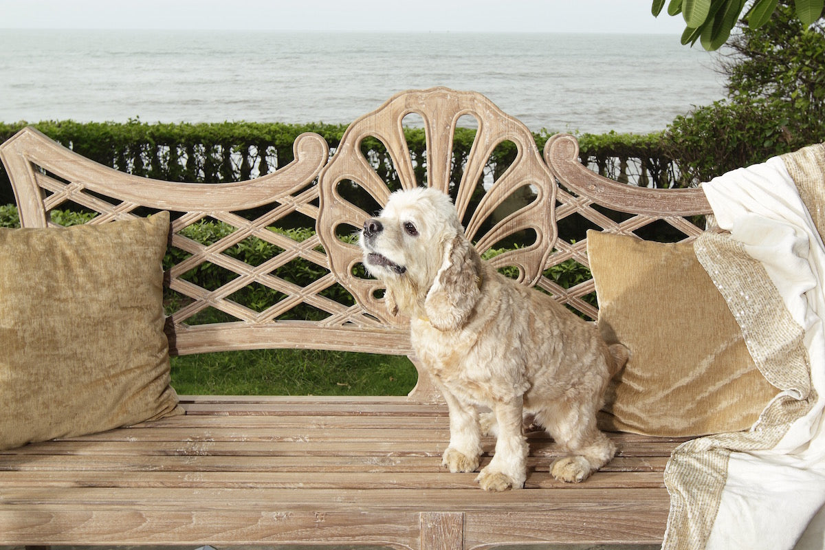 Denison Sofa Set