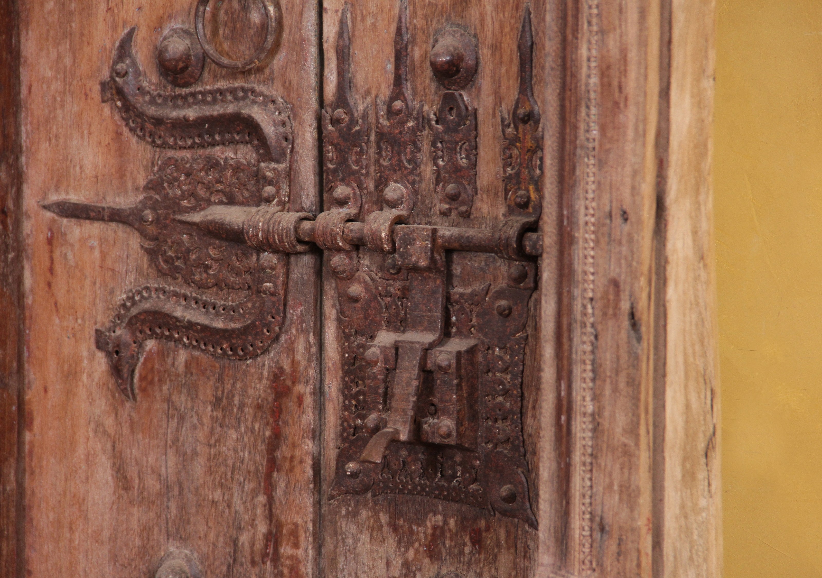 Pavel antique Door