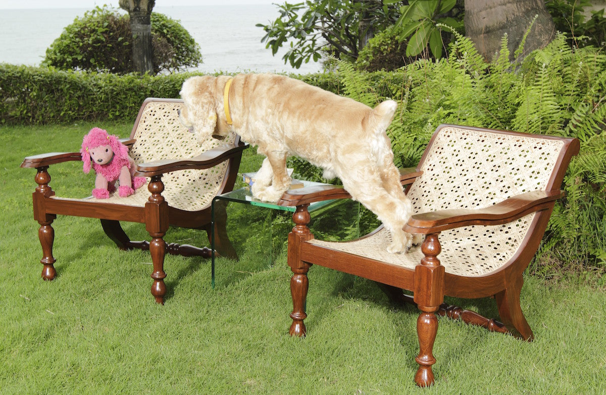 Hanna Child-Sized Planters Chair