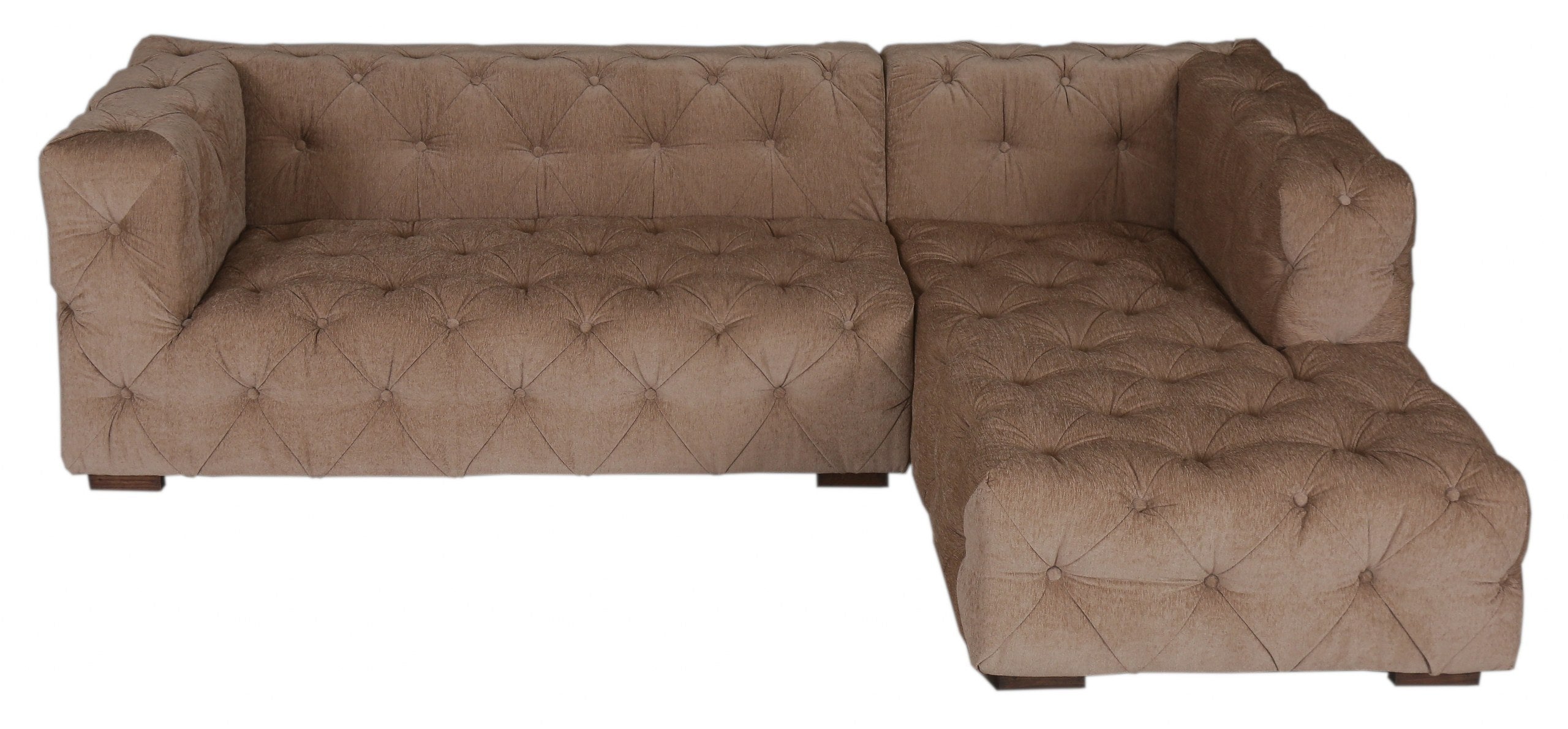 Dion Sectional Sofa