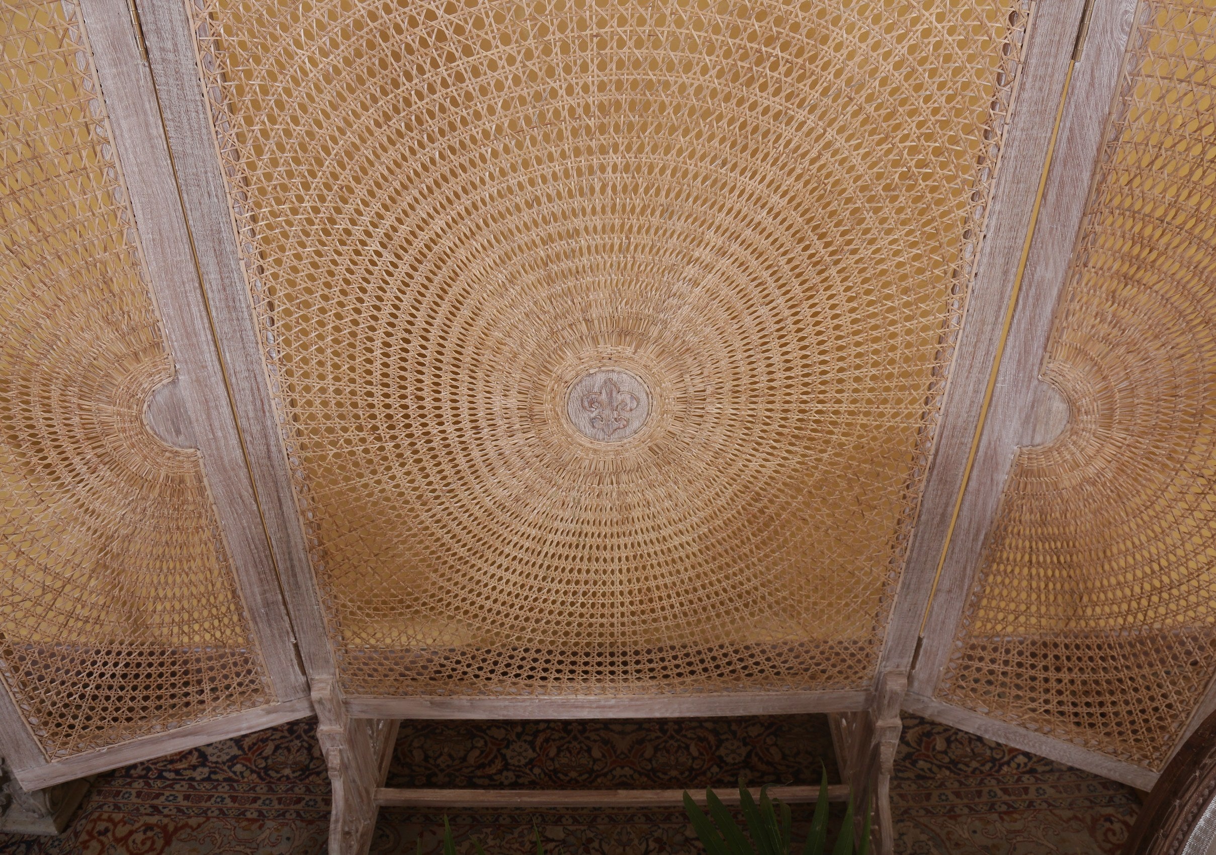 Pierre Spiderweb Screen