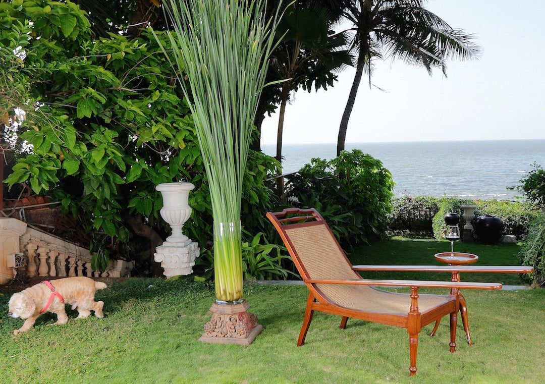 Fawcus Planters Chair