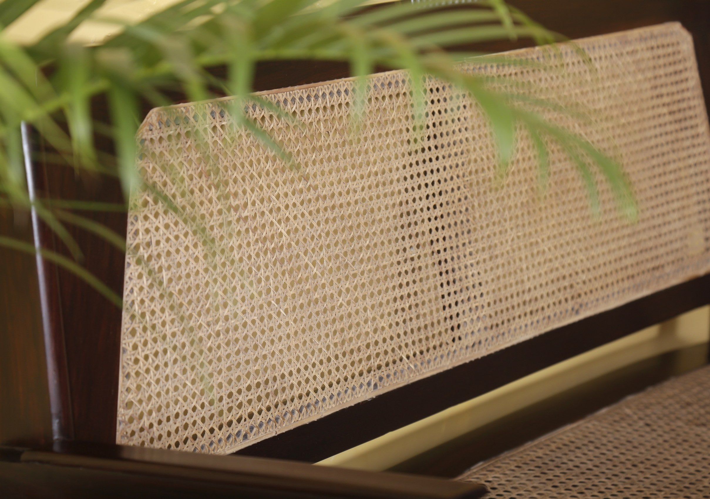 Clarice Rosewood Sofa Set